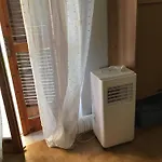 Yucca Scalea
